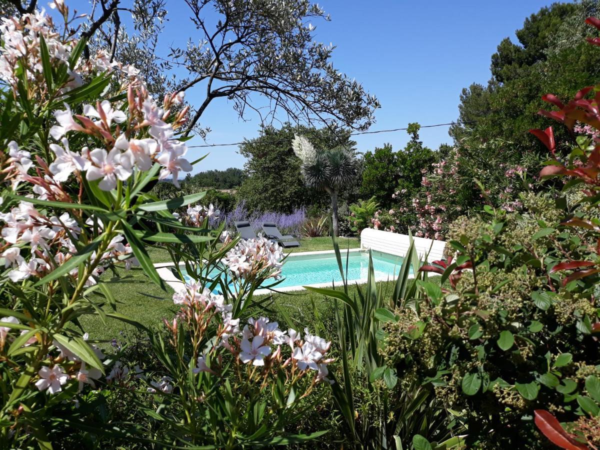 Parfums De Provence "Le Lavandin" Piscine Chauffee & Spa ヴェゾン・ラ・ロメーヌ エクステリア 写真